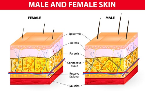 can men get cellulite?